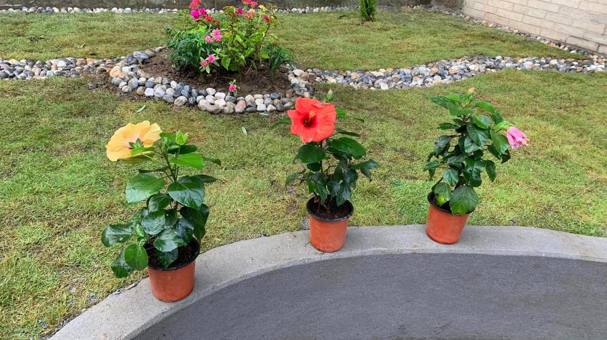 Rj-Residence Pokhara Eksteriør bilde